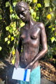 Asafrea