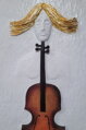 Violoncello
