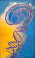 DNA I