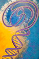 DNA I