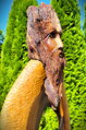 Pan Kořen