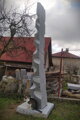Žirafa