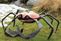 Krab