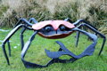 Krab