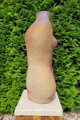 Jin a Jang
