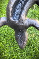 Ještěrka
