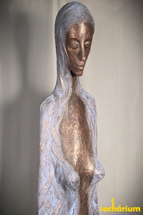 Vlasatice II - torzo