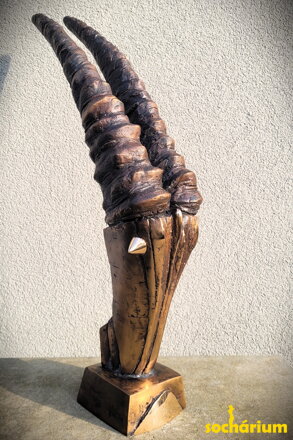Kozoroh