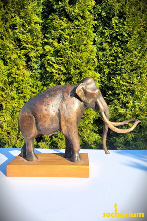 Kolumbuský mamut