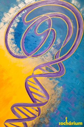 DNA I