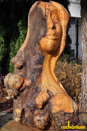 Tvář světla a stínu