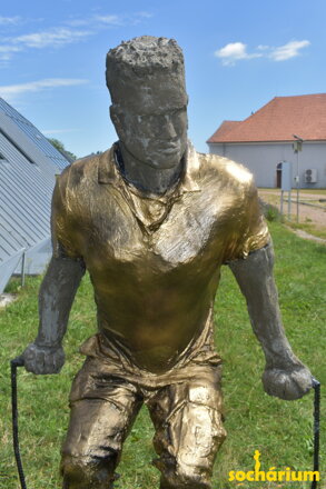Odraz vytrvalosti