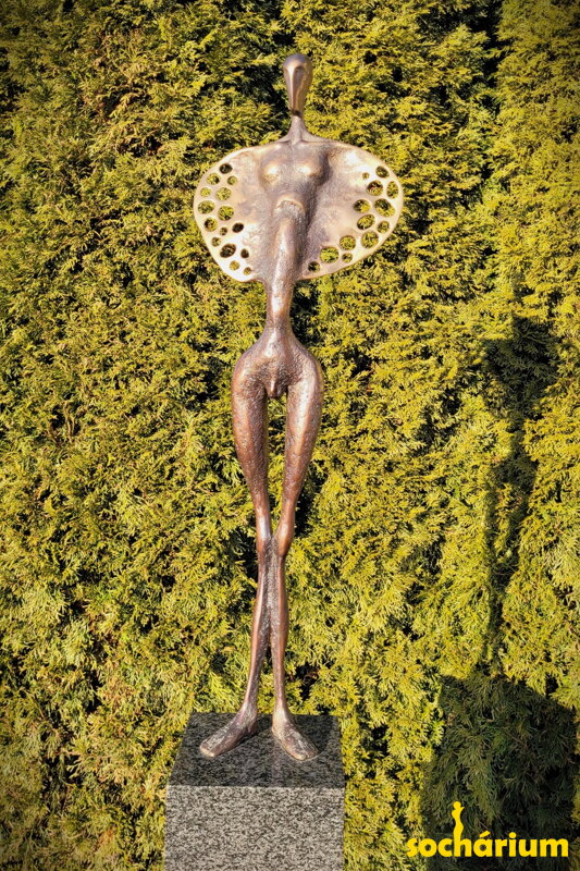 Motýl 