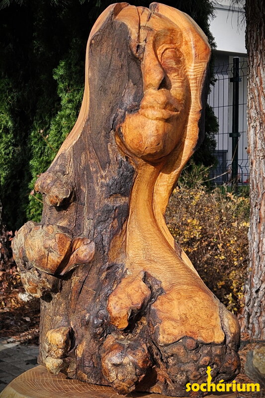 Tvář světla a stínu