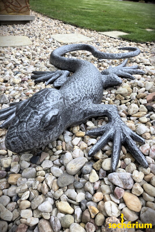 Ještěrka